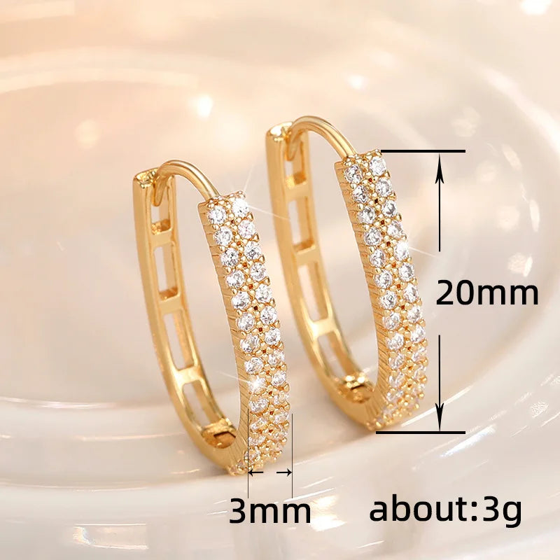 Luxury Paved Earrings