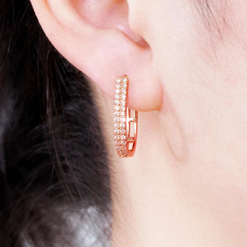 Luxury Paved Earrings